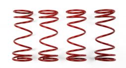 1/16 E-REVO™ Springs